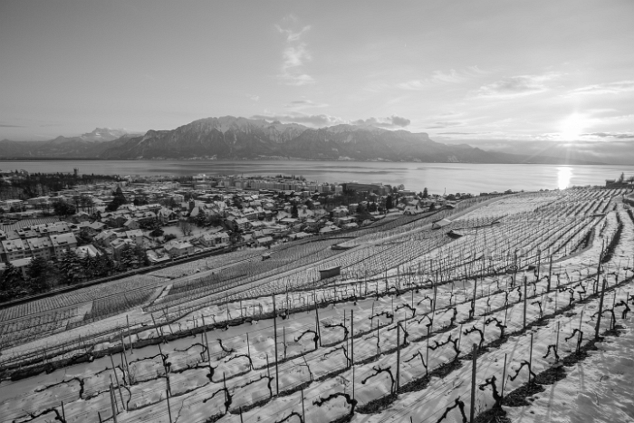 Fin de journée dans le Lavaux - 015